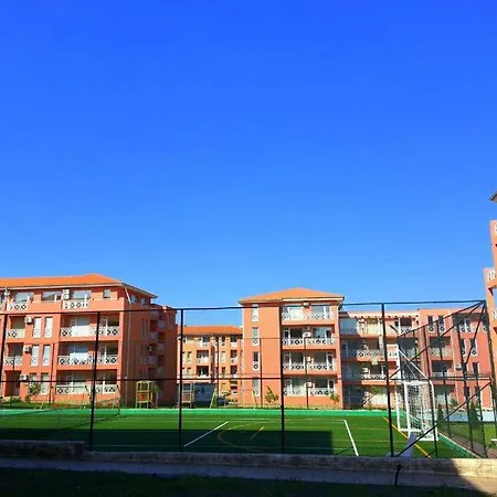 Sunny Day 6 *